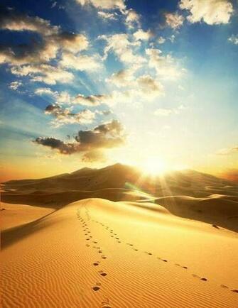 Best Places To Discover Image