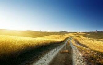 Summer Landscape Wallpaper Stock Photos