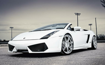Lamborghini White Wallpaper HD Net