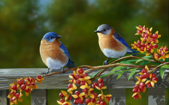 Birds Desktop Wallpaper