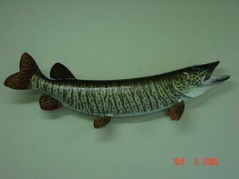 Woof Muskie Wallpaper Mario Bross