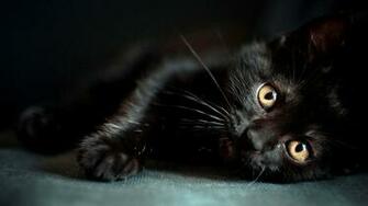 Image Of HD Dark Theme Wallpaper Black