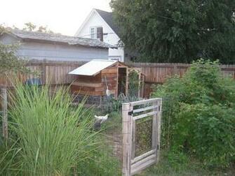 Pics Simple Chicken Coop Design Ii