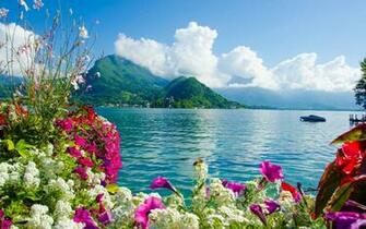 Amazing Nature Wallpaper Top Background