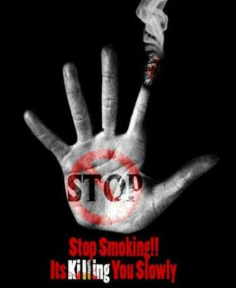 Of Stop Animal Abuse By Xjxdigityxdogx Wallpaper Picture