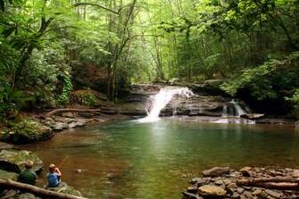 Forest Waterfall Wallpaper Pictures Screensavers