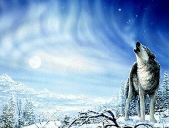 Wallpaper HD Desktop Online Magnificent Wolf