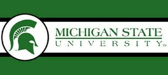 Michigan State Spartans Tall Wallpaper Border