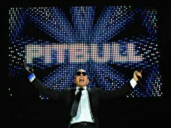 Pitbull Rapper Wallpaper