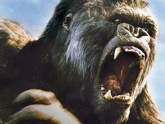 King Kong Photo