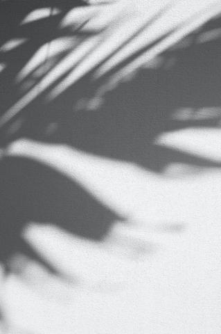 Leaves Shadow Pictures HD Image
