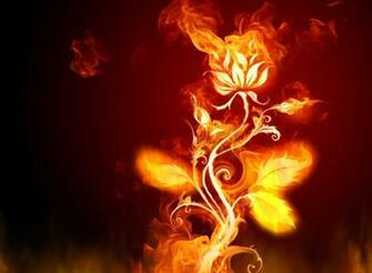 Fire Everywhere Animated Wallpaper Screensaver
