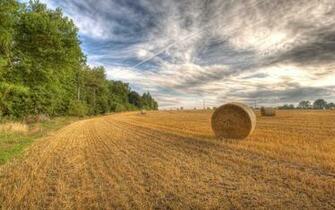 Hay Bales Precioso Campo Fondos De Pantalla Rboles