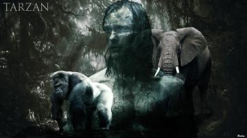The Legend Of Tarzan HD Wallpaper Background Image
