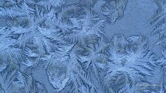 Wallpaper Frost Background