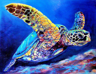Top Cool Turtle Wallpaper Full HD 4k To Use