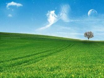 Abstract Nature Wallpaper Bliss Earth