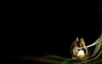Fond D Ecran Gallame Pokemon HD Wallpaper Background