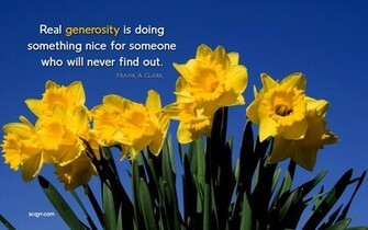 Daffodils Image Wallpaper Desktop