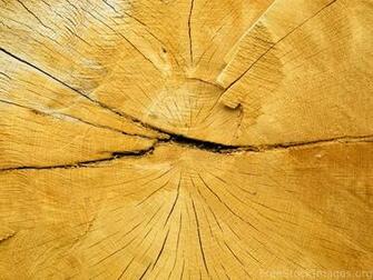 Stock Image Part Wood Texture Background