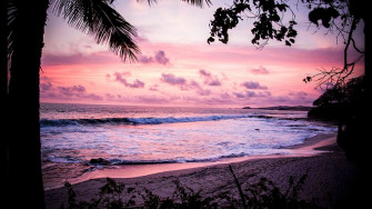 Pink Beach Image Wallpaper