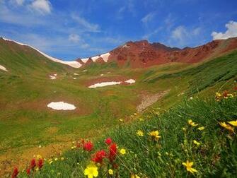 Spring Flowers In The Mountains Wallpaper And Image