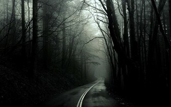 Forest Roads Monochrome Wallpaper