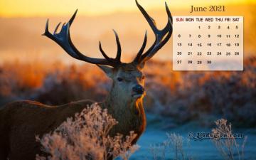 Month Wise Calender Wallpaper HD Calendar