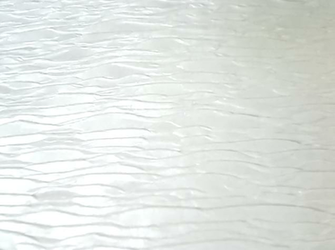 Metallic White