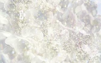 White Desktop Background Wallpaper High Definition