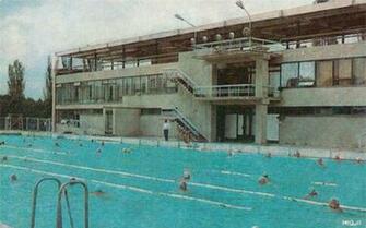 Olympic Swimming Pool HD Wallpaper Funny Jokes Photos