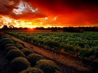 Paso Robles Wineries Off The Beaten Path Tasting Trail