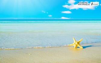 Wallpaper Christmas Nature Summer Beach