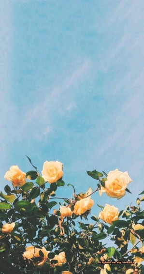 Alexa Lawler On Random Fun Stuff Cute Home Screen