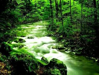 Spring Landscape Wallpaper Weddingdressin