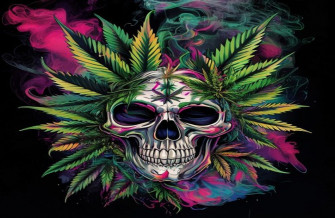 Wallpaper Of Weed Skull
