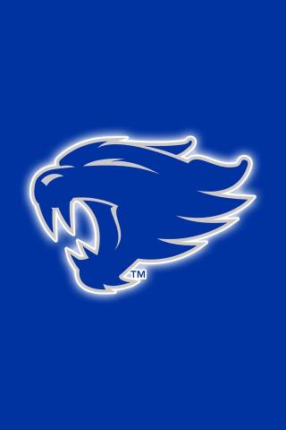 Get A Set Of Officially Ncaa Licensed Kentucky Wildcats iPhone