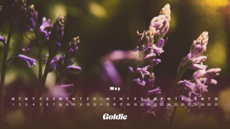 May Calendar Wallpaper Desktop Mobile