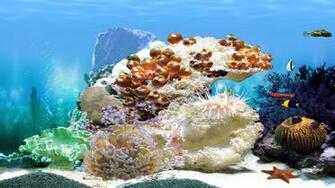 Aquarium Wallpaper