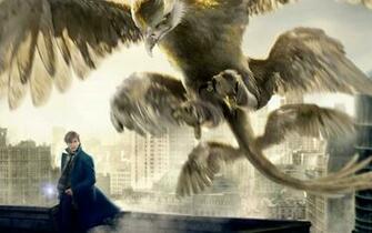 Fantastic Beasts And Where To Find Them Image