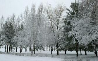 Winter And Snow Scenes Wallpaper Bonzy Pictures