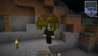 Say Hi To Mr Turtle Pikdit
