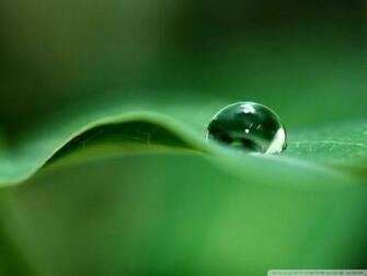 Wonderful Raindrops HD Wallpaper For Inspiration Digital
