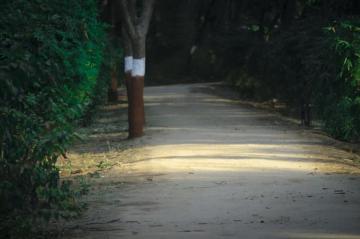 Editing Background Pictures Image