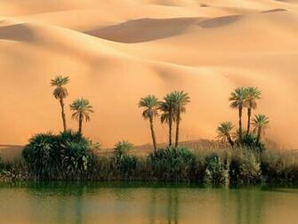 Desert Oasis Wallpaper And Image Pictures Photos
