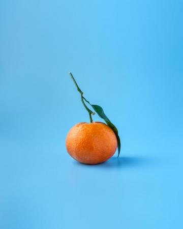 Orange Wallpaper HD Hq