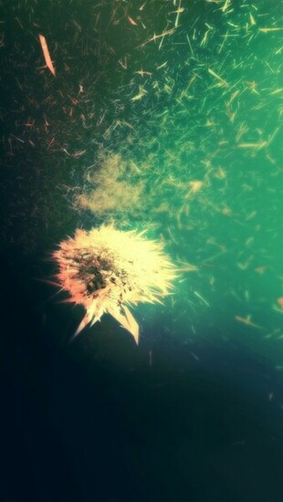 Blowing Dandelion Wallpaper iPhone