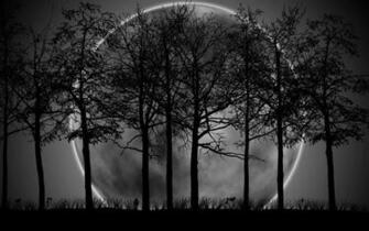 Beautiful Wallpaper Of Good Night