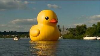 Rubber Duck Wallpaper Image