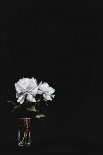 Black And White Flower Pictures HD Image